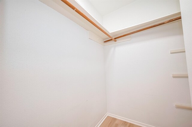 19718 Franz Rd, Houston, TX 77084 - walk in closet with light wood-style floors