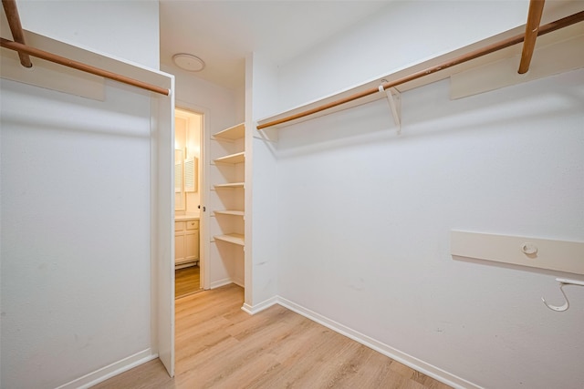 19718 Franz Rd, Houston, TX 77084 - spacious closet with light wood-style floors