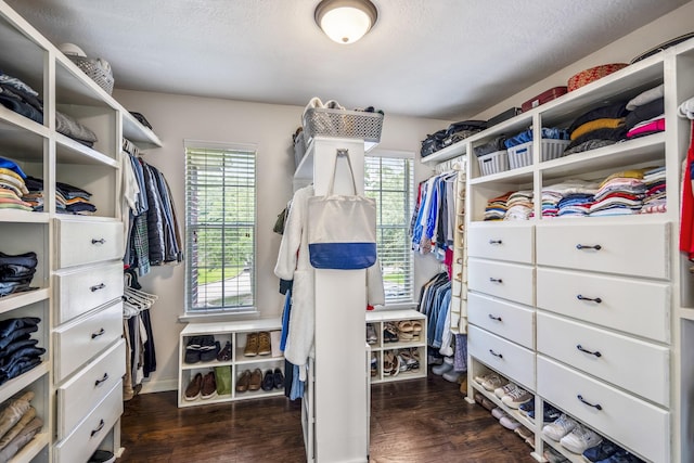 5822 Capella Park Dr, Spring, TX 77379 - photo 25