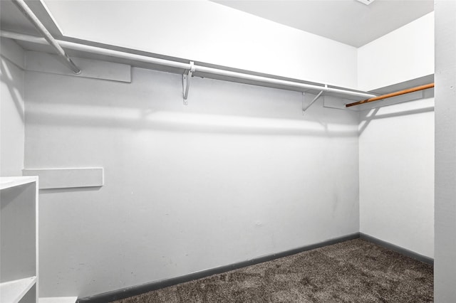 619 Rocky Mountain Dr, Houston, TX 77037 - walk in closet featuring dark colored carpet