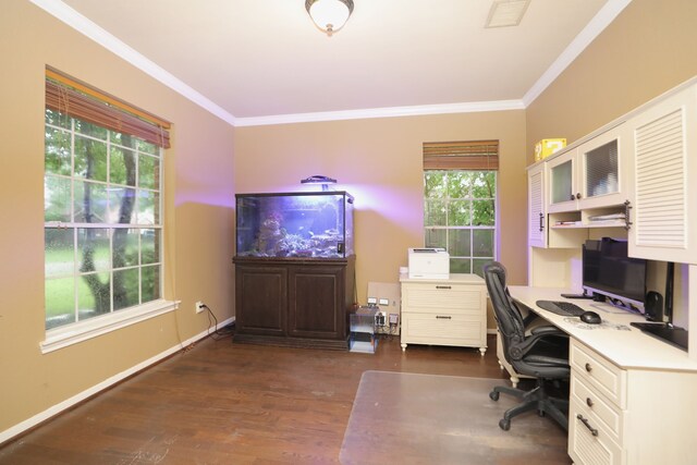 14310 Saint Pierre Ln, Cypress, TX 77429 - office area with plenty of natural light, crown molding, and dark wood-type flooring