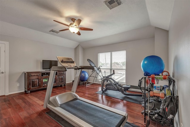 16407 Torry View Ter, Houston, TX 77095 - workout area with a ceiling fan, vaulted ceiling, and wood finished floors