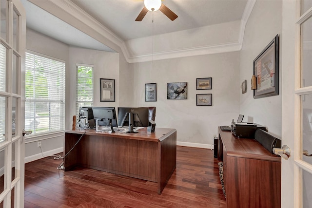 16407 Torry View Ter, Houston, TX 77095 - office featuring dark wood finished floors, ceiling fan, a raised ceiling, and crown molding