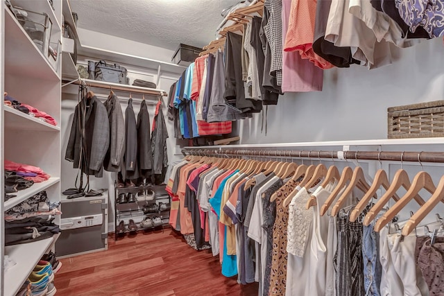16407 Torry View Ter, Houston, TX 77095 - spacious closet with wood finished floors