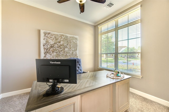 6506 Camillia Ct, Katy, TX 77493 - office with light colored carpet, ceiling fan, ornamental molding, and plenty of natural light