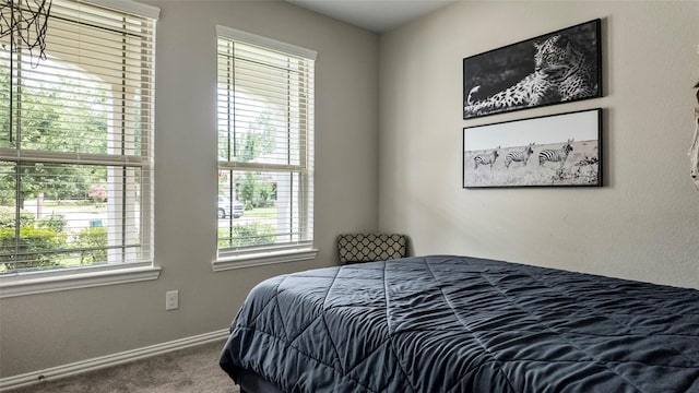 205 Coppery Ct, Montgomery, TX 77316 - photo 26