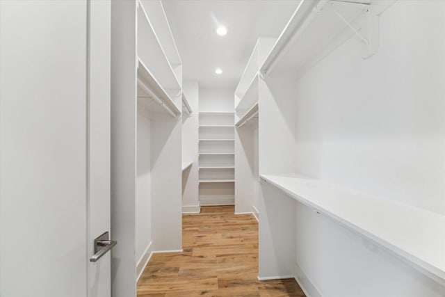 919 W 16th St Unit C, Houston, TX 77008 - walk in closet featuring light wood-style floors