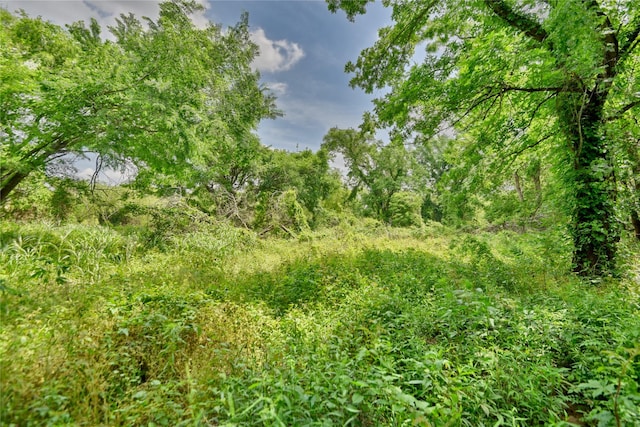 LOT16 River Haven Dr, Navasota, TX 77868