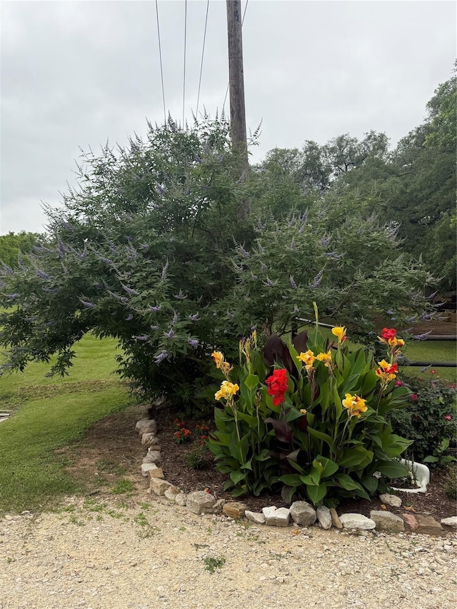 102 Bryan St, Boling, TX 77420 - photo 42