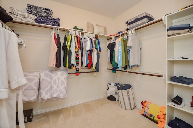 24914 Hazel Ranch Dr, Katy, TX 77494 - walk in closet with carpet floors