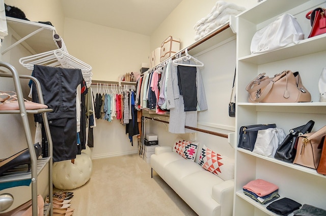 24914 Hazel Ranch Dr, Katy, TX 77494 - walk in closet with carpet flooring