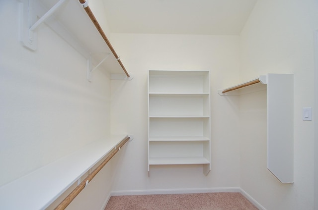 3238 Montclair Orchard Trce, Spring, TX 77386 - spacious closet featuring carpet floors