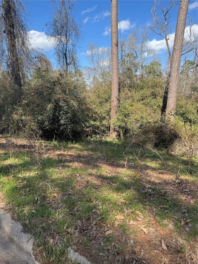 1800 Green Way Dr, Huntsville, TX 77340