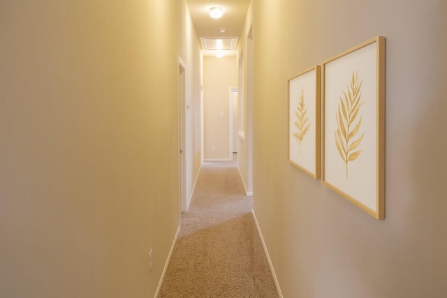3543 Paganini Pl, Katy, TX 77493 - corridor with light colored carpet and baseboards