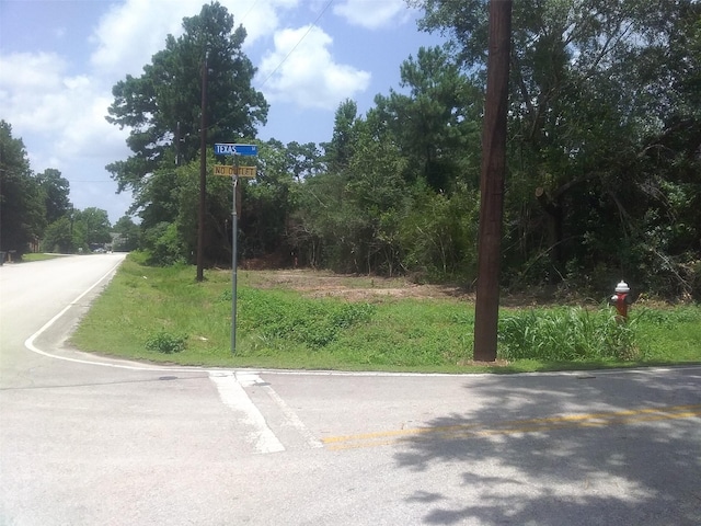 LOT46 Moore St, Tomball, TX 77375 - photo 4