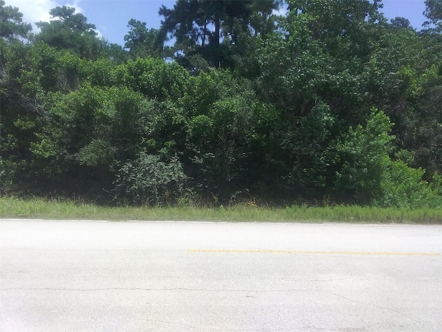 LOT46 Moore St, Tomball, TX 77375 - photo 5
