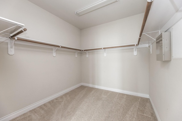 2131 Blossomcrown Dr, Katy, TX 77494 - spacious closet featuring carpet flooring