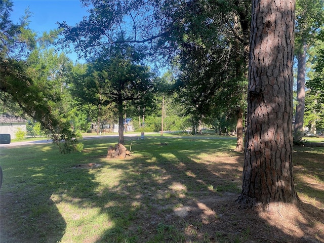 000 Knotty Oak, Livingston, TX 77351