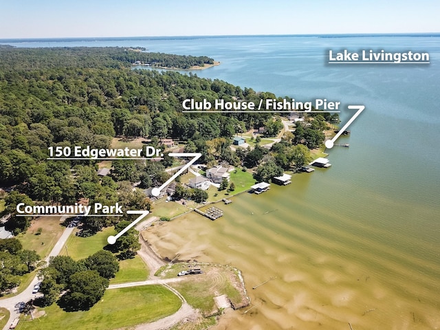 150 Edgewater Way, Point Blank, TX 77364 - bird's eye view of a nearby body of water and a forest