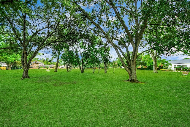 606 Montclair Blvd, Sugar Land, TX 77478 - view of green lawn