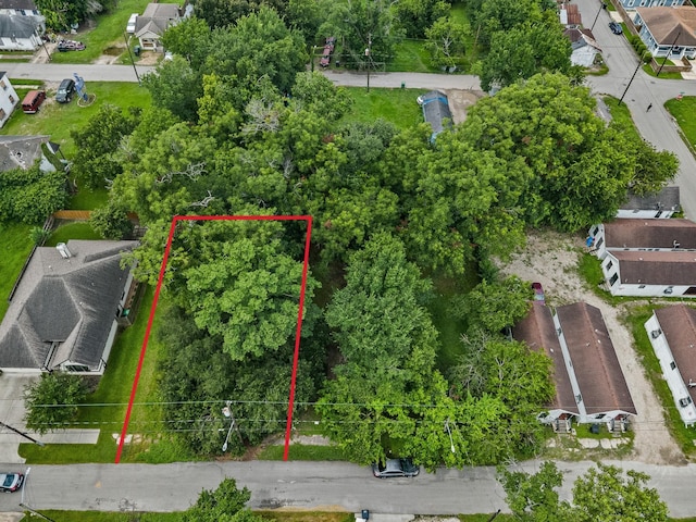 3216 Rosalie St, Houston, TX 77004 - photo 1
