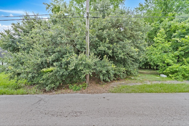 3216 Rosalie St, Houston, TX 77004 - photo 4