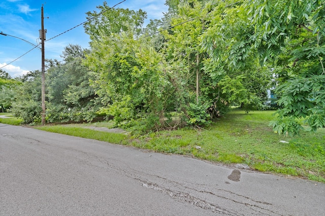 3216 Rosalie St, Houston, TX 77004 - photo 5