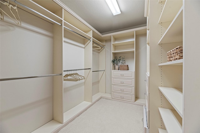 3102 Hillside Landing Trl, Katy, TX 77494 - spacious closet featuring light colored carpet
