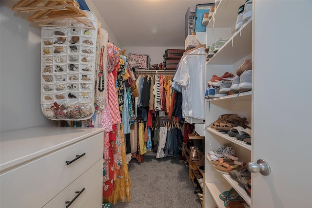 308 Dennis St, Houston, TX 77006 - walk in closet with carpet