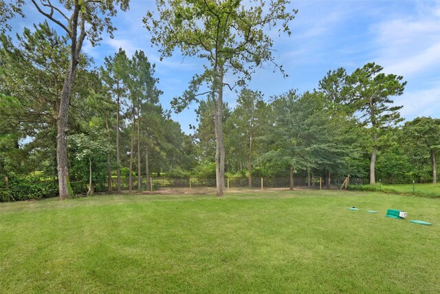 15215 Butterfly Ln, Plantersville, TX 77363 - photo 36