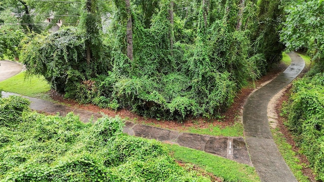 3715 Ember Spring Dr, Kingwood, TX 77339 - view of local wilderness