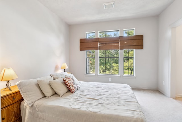 8411 Middle Canyon Rd, Katy, TX 77494 - bedroom featuring multiple windows and light colored carpet