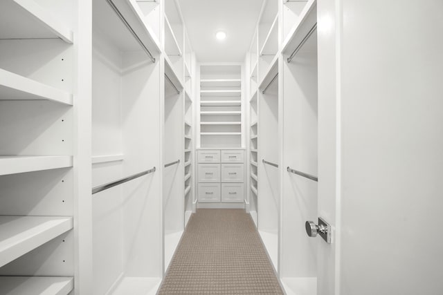 1749 Parana Dr, Houston, TX 77080 - view of walk in closet