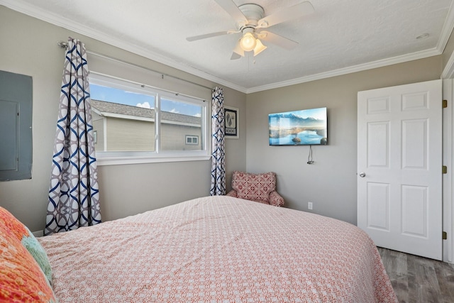 4004 Ector Dr, Galveston, TX 77554 - bedroom with wood finished floors, electric panel, ornamental molding, and ceiling fan