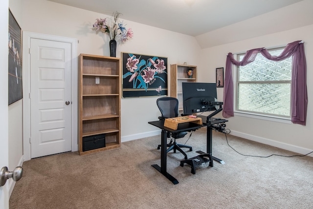 21207 Bradford Grove Dr, Spring, TX 77379 - office space with carpet floors and vaulted ceiling