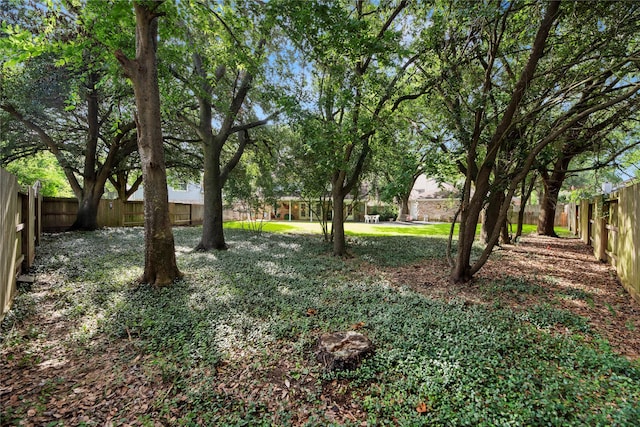 7615 Sandygate Ln, Houston, TX 77095 - view of fenced backyard