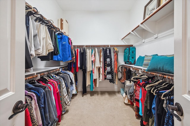 961 Queen Annes Rd, Houston, TX 77024 - walk in closet featuring carpet flooring