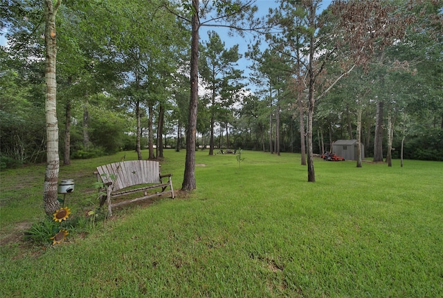 26080 Crown Ranch Blvd, Montgomery, TX 77316 - photo 42