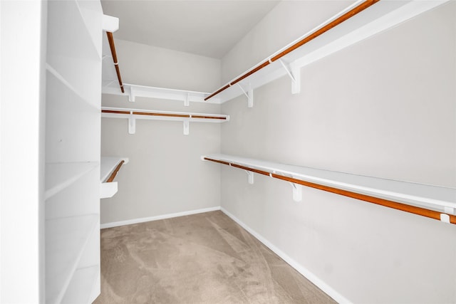 22519 Birch Ridge Meadow Dr, Spring, TX 77389 - spacious closet featuring light carpet