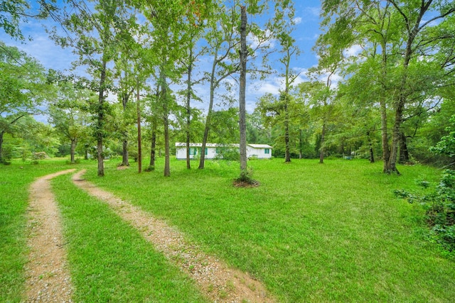 13891 Creighton Rd, Conroe, TX 77302