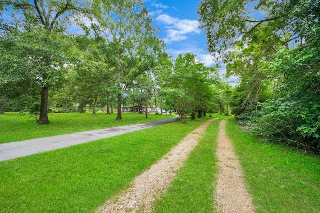 13891 Creighton Rd, Conroe, TX 77302