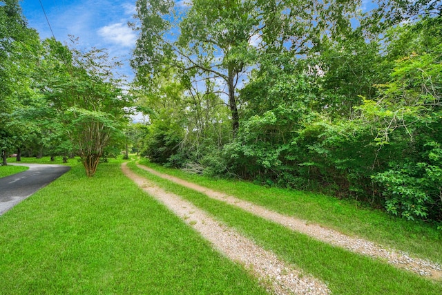 13891 Creighton Rd, Conroe, TX 77302