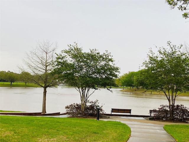 2802 Grants River Cir, Sugar Land, TX 77479 - view of home's community with a water view and a lawn