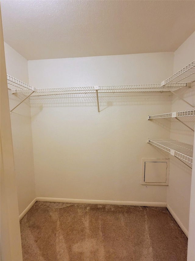 1515 Sandy Springs Rd Unit 1903, Houston, TX 77042 - walk in closet with carpet