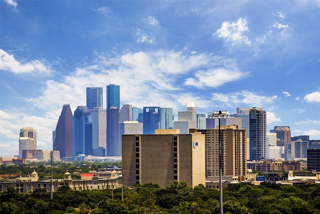 3350 Mccue Rd Unit 1504, Houston, TX 77056 - skyline view