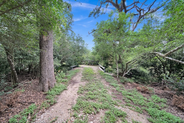 2970 Spanish Oaks Dr, Brenham, TX 77833 - view of dirt / gravel road featuring a forest view