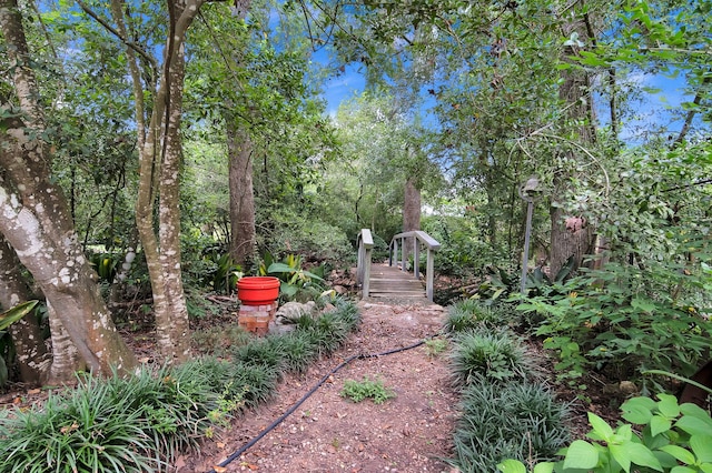 2970 Spanish Oaks Dr, Brenham, TX 77833 - view of yard