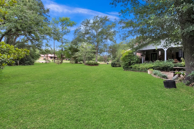 2970 Spanish Oaks Dr, Brenham, TX 77833 - view of green lawn