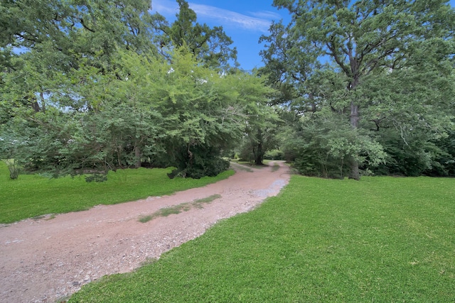 2970 Spanish Oaks Dr, Brenham, TX 77833 - surrounding community featuring a yard
