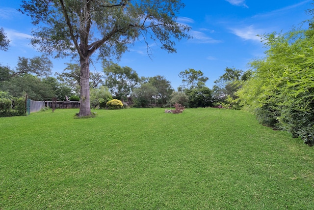 2970 Spanish Oaks Dr, Brenham, TX 77833 - view of yard